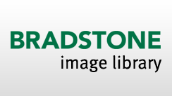 Bradstone Image Library